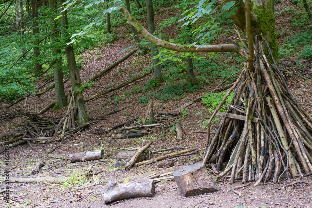 Log wigwam in the middle of the woods Log wigwam in the middle of the woods