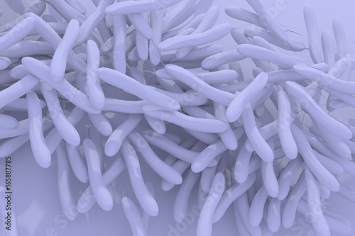Cholera bacteria vibrio 3d illustration  photo