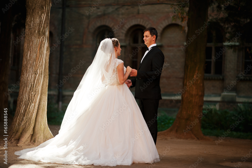 Fantastic wedding couple walking in the park on their wedding day. Fantastic wedding couple walking in the park on their wedding day.