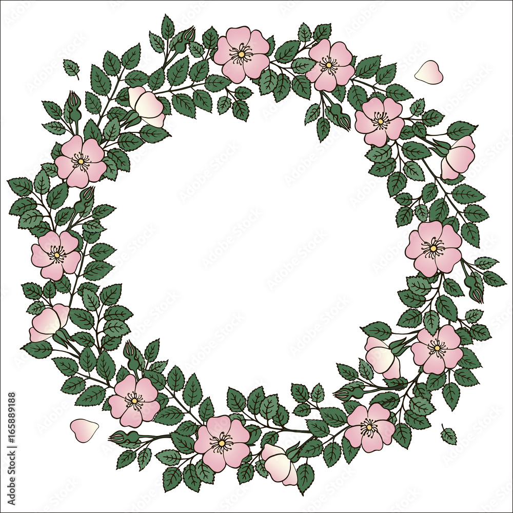 Hand drawn vector briar wreath isolated on white background Hand drawn vector briar wreath isolated on white background