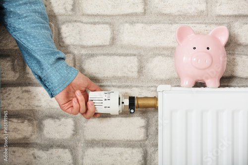 Piggy Bank On Radiator photo