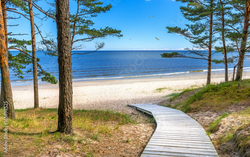 Coastal landscape with pine trees and sand dunes, Jurmala resort, Latvia, Bal...
