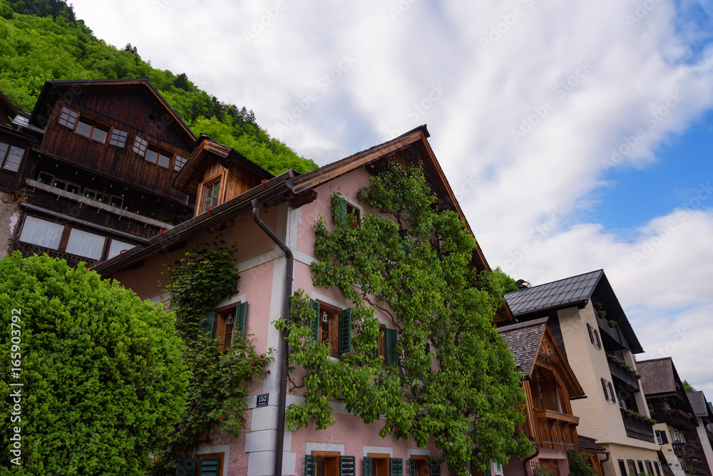 Typical Austrian Alpine houses with bright flowers, Hallstatt, Austria, Europe