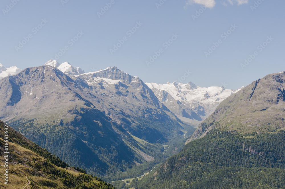 St. Moritz, Pontresina, Val Bernina, Val Rosen, Bernina, Muottas Muragl, Rosatschgruppe, Alpen, Engadin, Oberengadin, Graubünden, Sommer, Schweiz