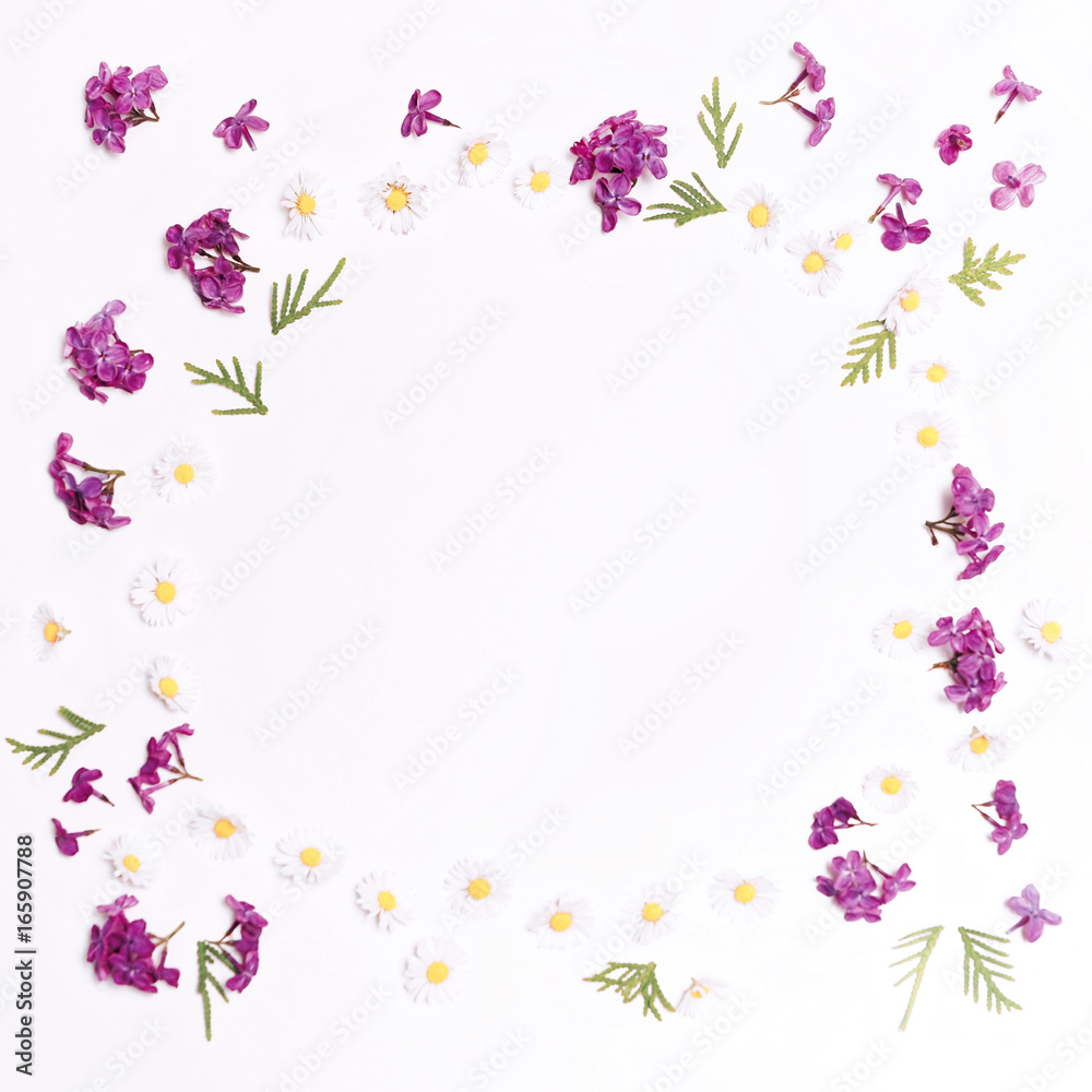Frame with violet lilac flowers and daisies Frame with violet lilac flowers and daisies