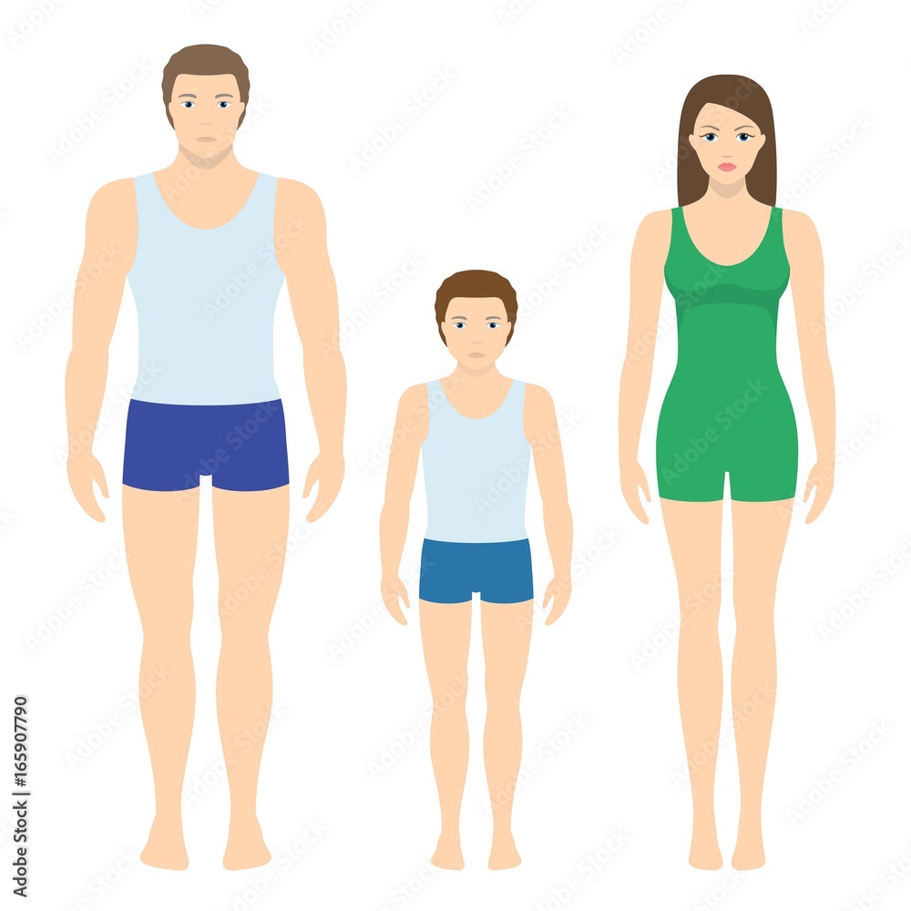 Vector illustration of man, woman and child. Body proportions of human front view. Vector illustration of man, woman and child. Body proportions of human front view.