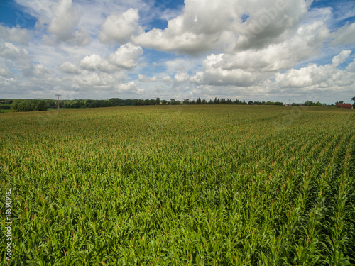 aerial view of a green corn fields with cloudy blue sky in germany