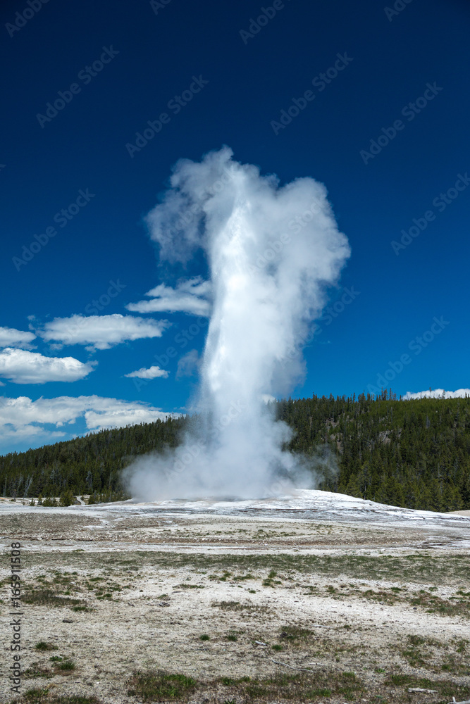 Eruption des Old Faithful Geysirs im  Yellowstone Nationalpark, Wyoming
