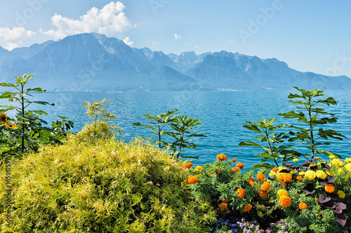 Plants blossom at promenade of Geneva Lake in Montreux Riviera