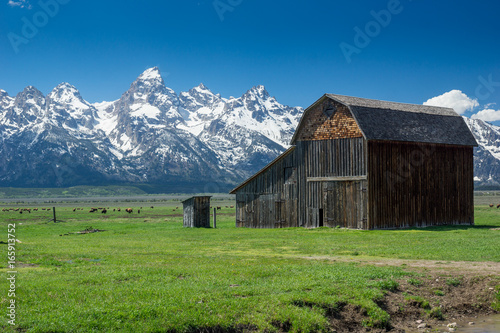 Mormon Row mit Teton Range im Teton National Park, Wyoming