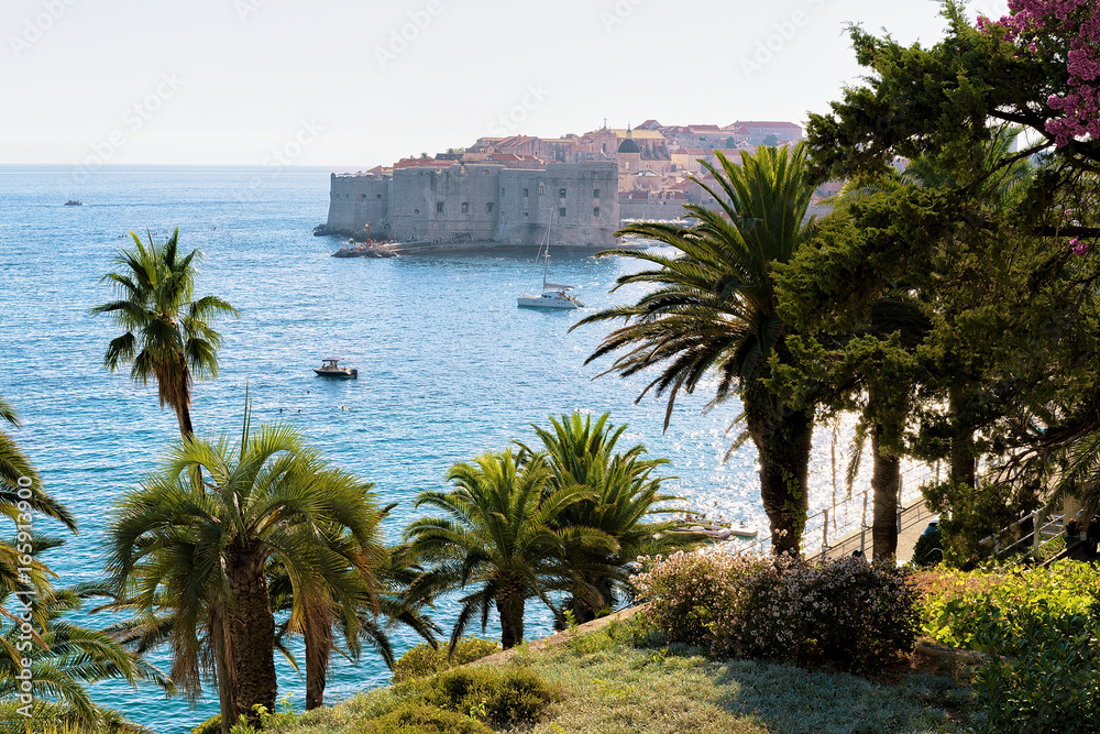 Palm trees and Old fort of Dubrovnik and Adriatic Sea