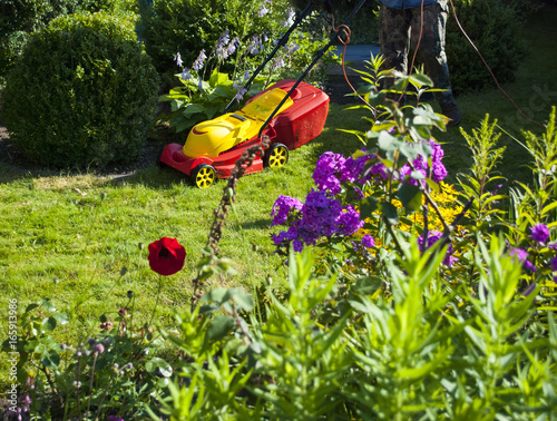 Rasen mähen im Garten photo