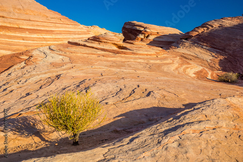 Valley of Fire State Park, Nevada