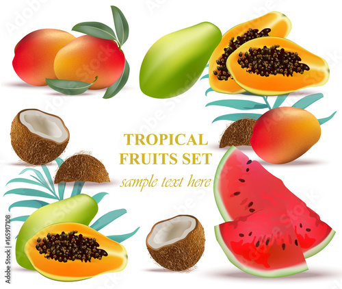 Fruits coconut, avocado, papaya, kiwi, pomegranate, fresh cocoa, guava Collection set Vector