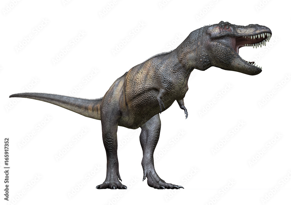 Naklejka T-Rex od lewej, renderowanie 3D