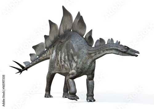 Stegosaurus von links, 3D-Rendering