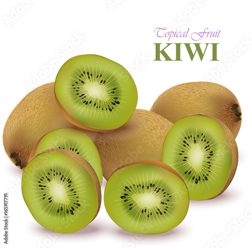 Realistic kiwi Vector isolated on white