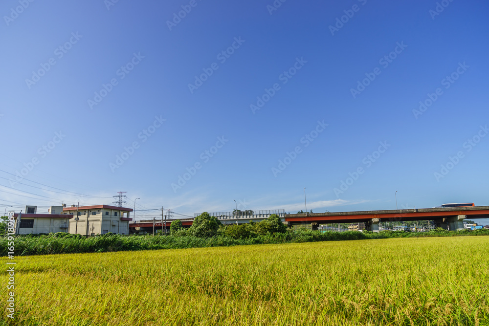 秋の四街道の田園風景 秋の四街道の田園風景