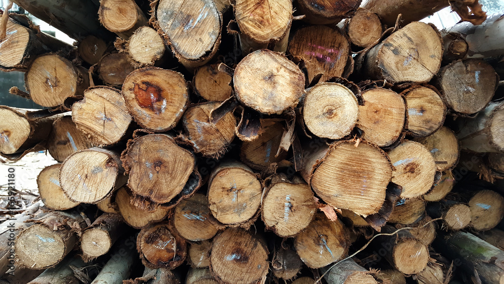 Stacked wood pine timber for construction buildings Background Stacked wood pine timber for construction buildings Background