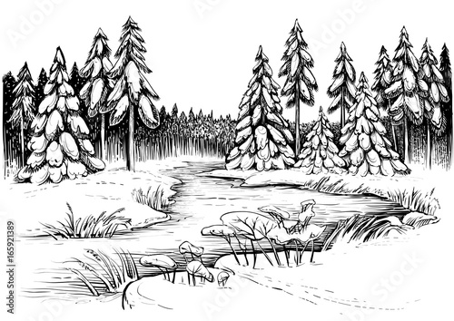 Winter river under ice and forest of snowy firs and pines. Vector drawing.