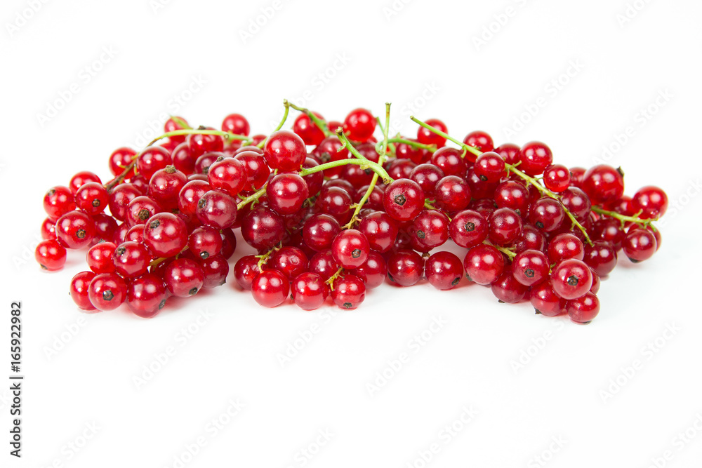 Organic Red Currant Organic Red Currant