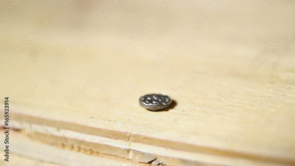 Man hammering last nail, symbol of successfully completed work, achievement Man hammering last nail, symbol of successfully completed work, achievement