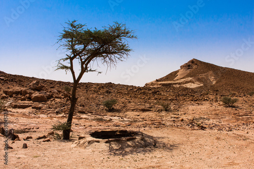 Cuadro en lienzo A Desert Well