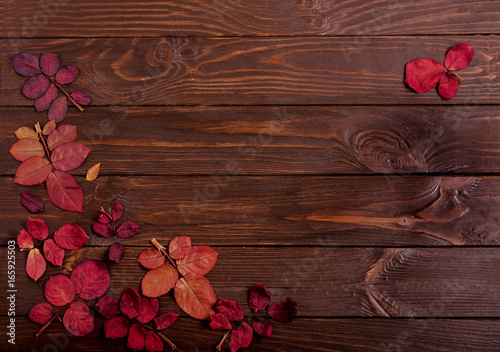 Flat lay frame of autumn crimson leaves on a dark wooden background.