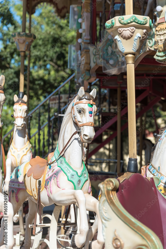 White horses of the antique carousel