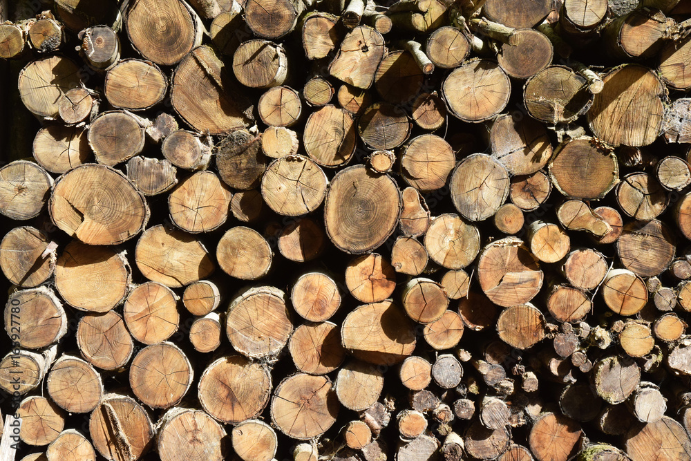 Bois de chauffage empilé en stère. Bois de chauffage empilé en stère.