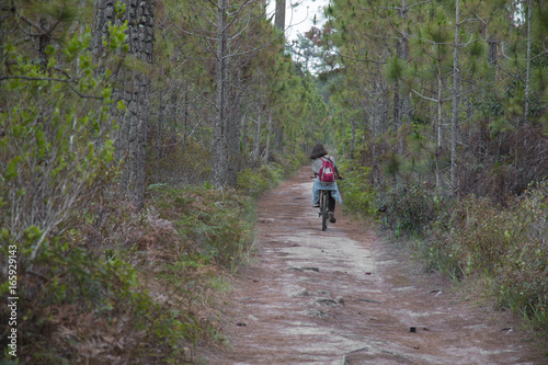 Woman riding a bicycle along path at the forest.