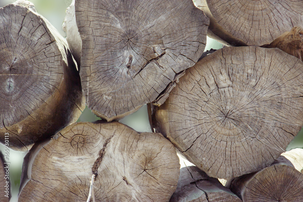 Stacked tree wood logs background. Abstract photo of a pile of natural wooden logs background, top view. Pieces of round teak wood Stacked tree wood logs background. Abstract photo of a pile of natural wooden logs background, top view. Pieces of round teak wood