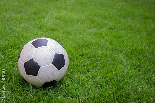soccer ball on green grass © songphon