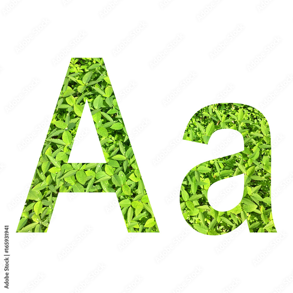 English alphabet “A.a” made from green grass on white background for  isolated with clipping path, Capital letter and small letter from green  grass on white background for isolated foto de Stock