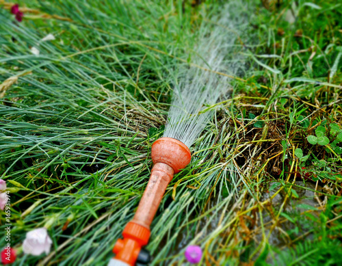 Konstfotografi Potable water in the vegetable garden.
