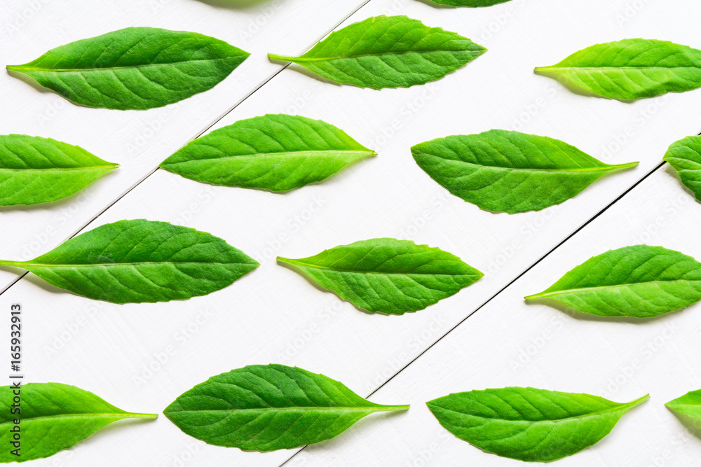 Fototapeta premium Flat lay green leaf on white wood background
