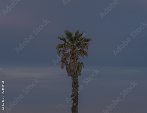 sky