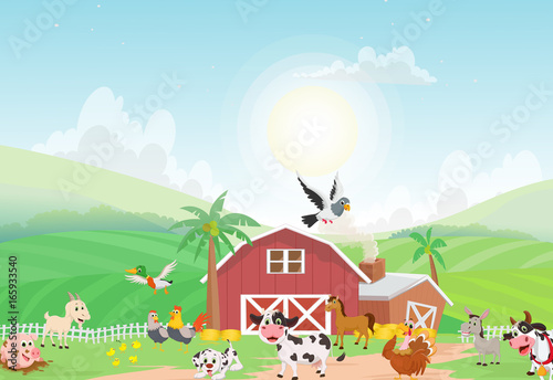 illustration of farm animal with background