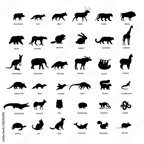 Big set of animals silhouette. Black animals pictogram