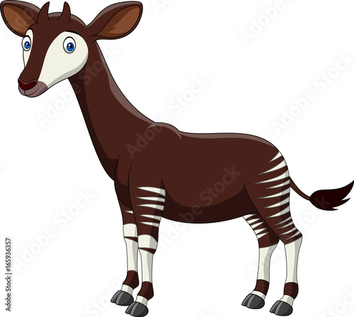 Obraz na płótnie Cartoon okapi isolated on white background