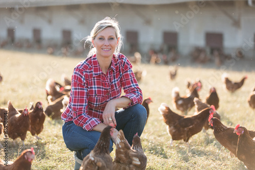 female farmer looking for eggs photo