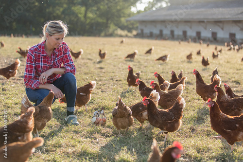 female farmer looking for eggs