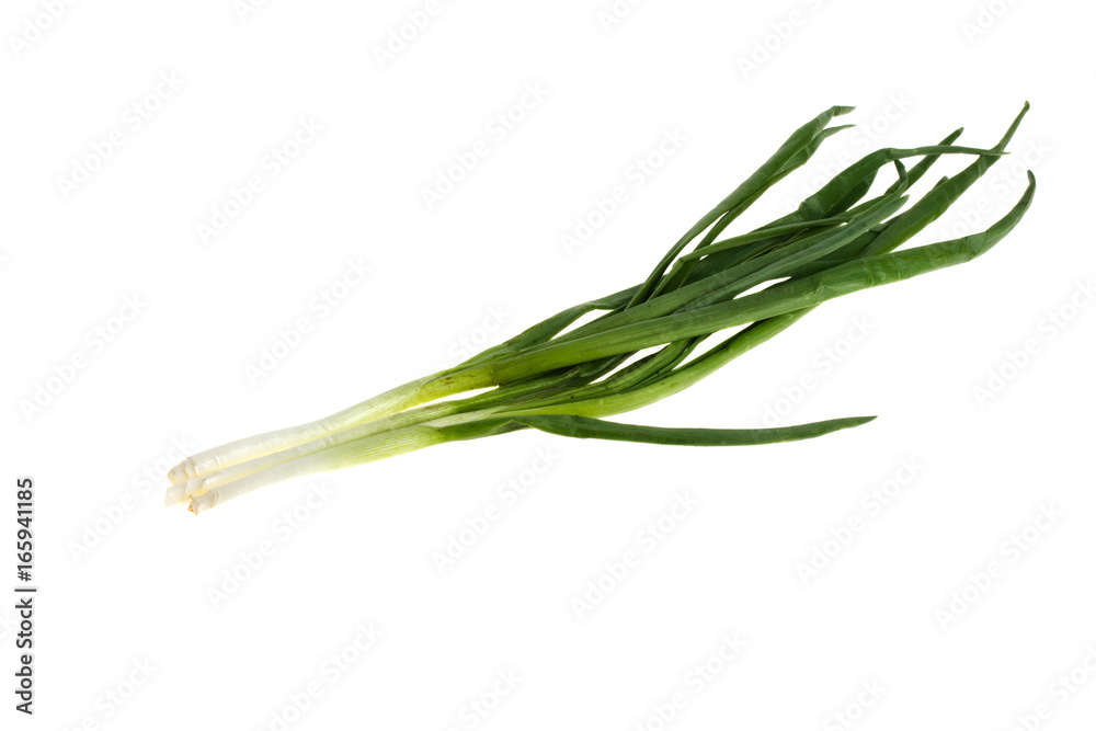 Onion on a white background Onion on a white background