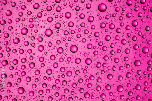 Round water drops on pink transparent surface background.