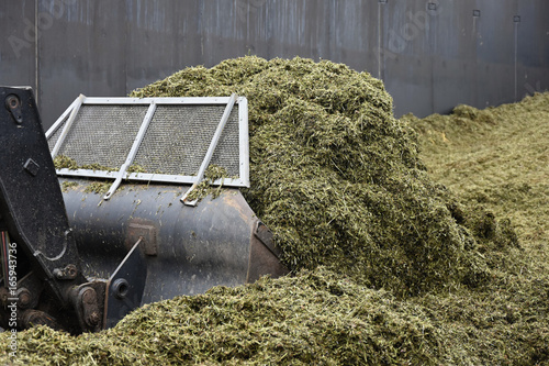 The front loader rolls into chaff a silo pit.