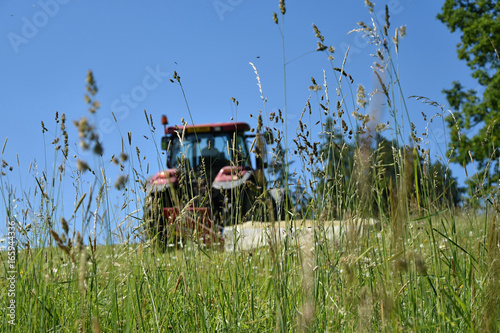The tractor cuts the grass on the meadow. Focus on grass.