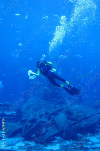 Wallpaper Mural Taucher Torontodigital.ca