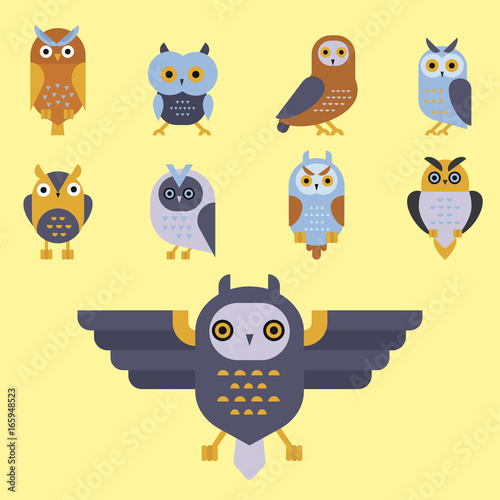 Cartoon owl bird cute character symbol sleep sweet owlet vector illustration.