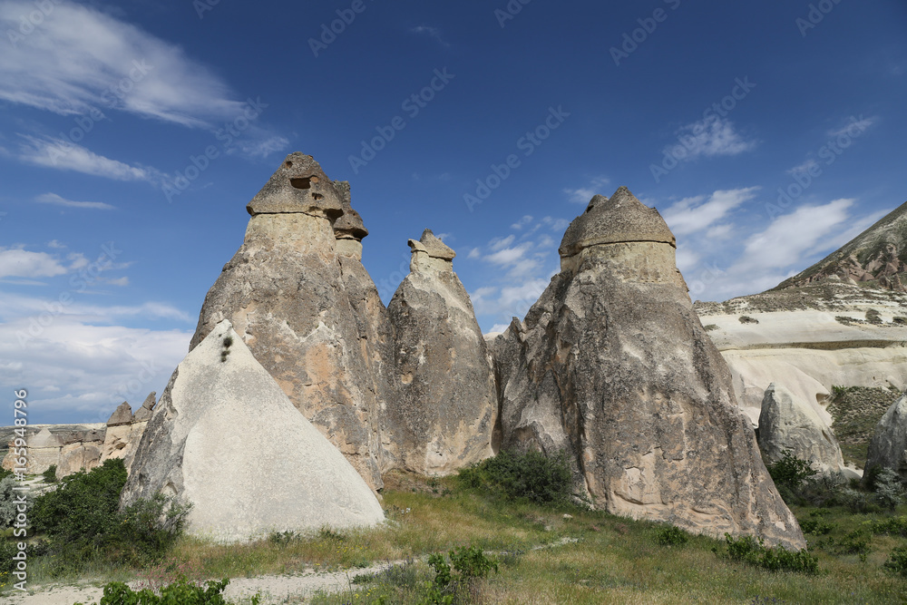Rock Formations in Pasabag Monks Valley, Cappadocia Rock Formations in Pasabag Monks Valley, Cappadocia