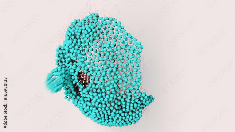 Animation depicting the formation of a molecular structure Animation depicting the formation of a molecular structure